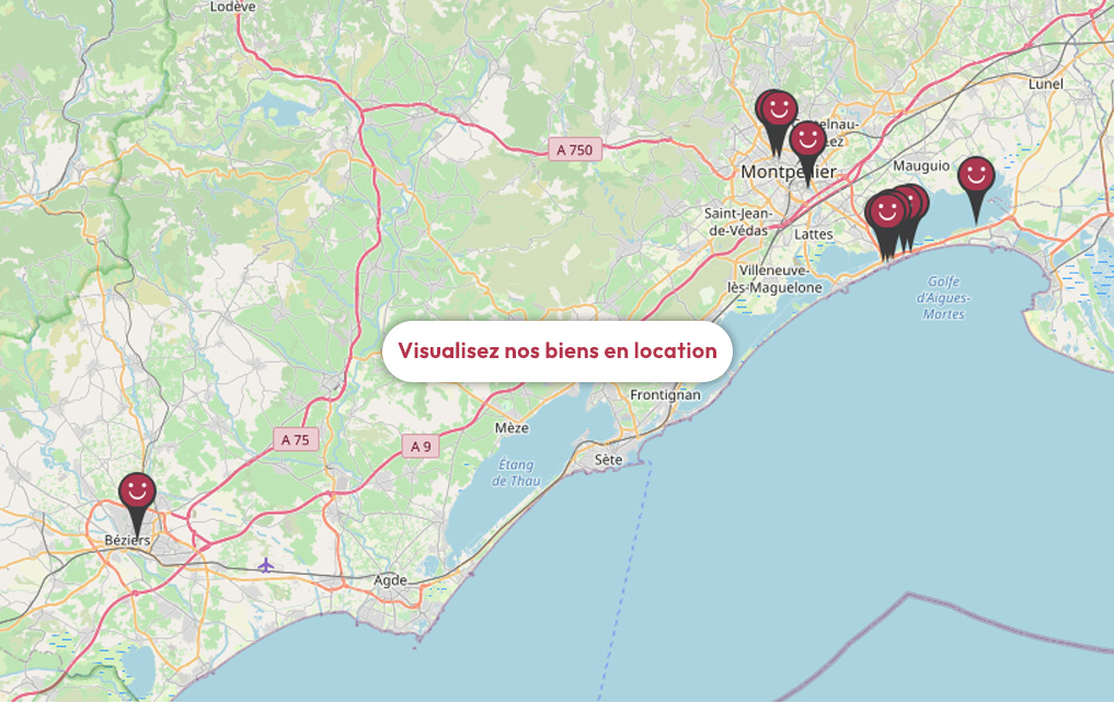 Carte des biens en location